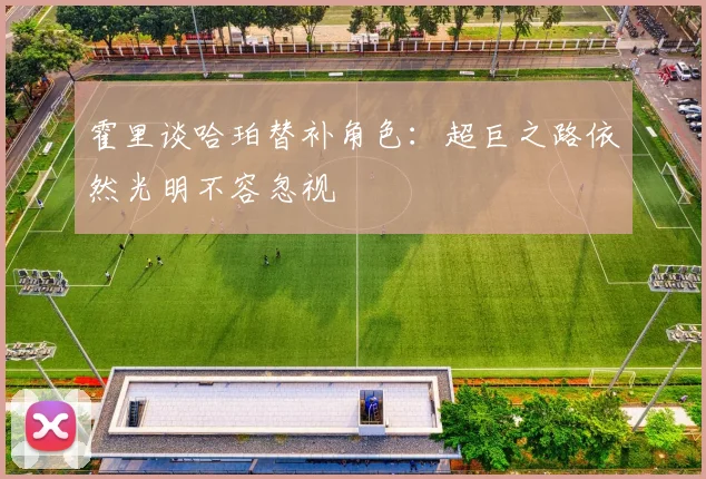 霍里谈哈珀替补角色：超巨之路依然光明不容忽视